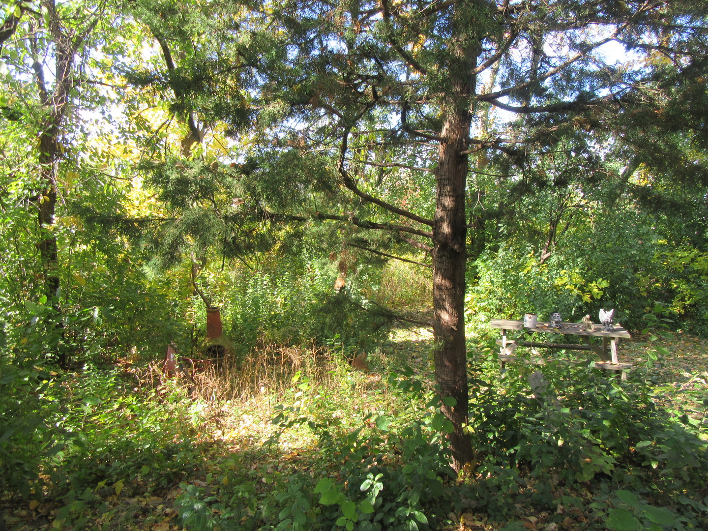 740 N Junior Terrace, Elmhurst, IL 60126