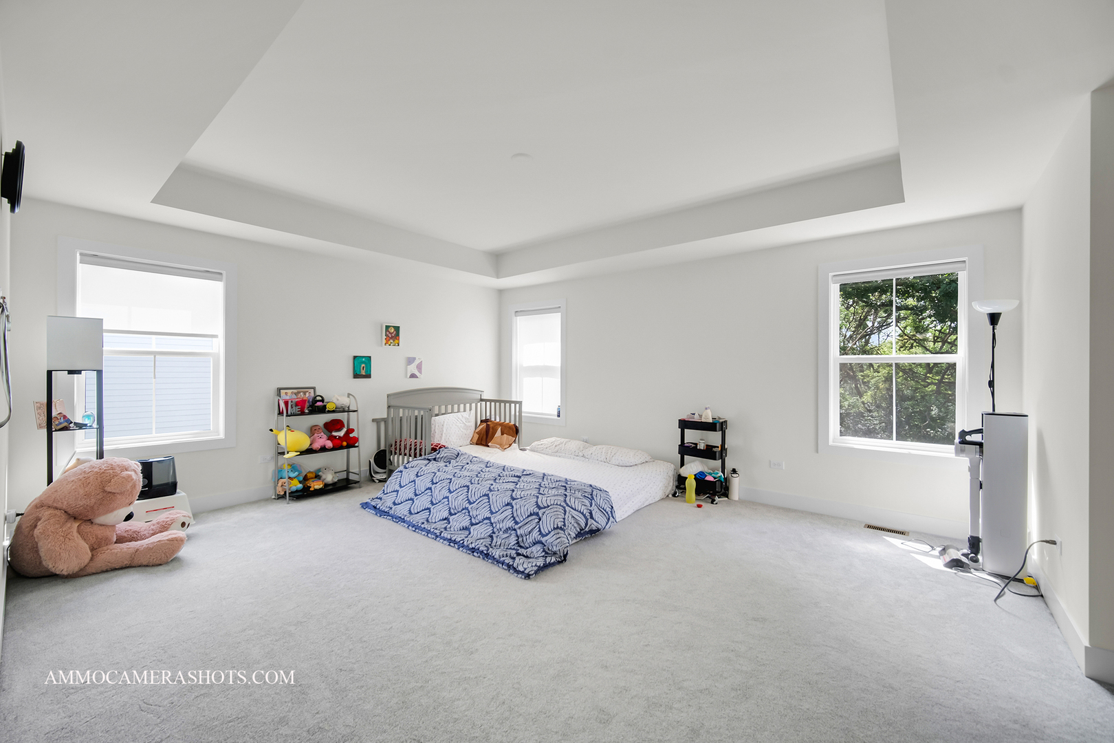 3545 S Riding Ridge, Elgin, IL 60124