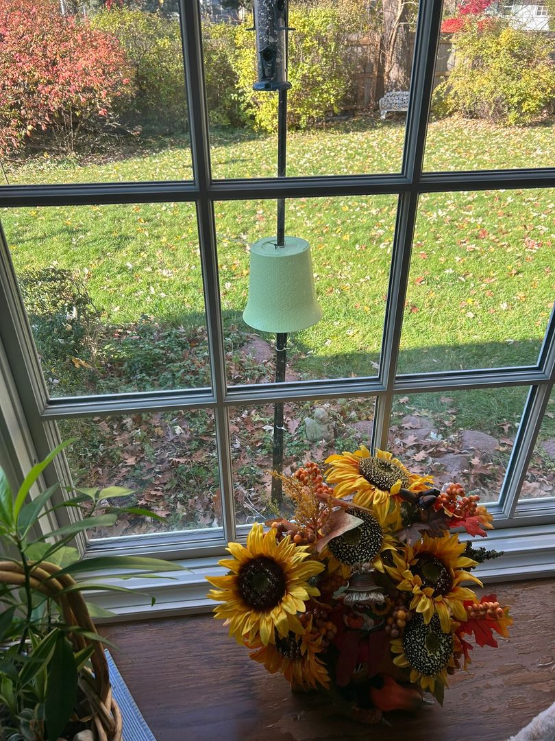 1229 Suffolk Street, Naperville, IL 60563