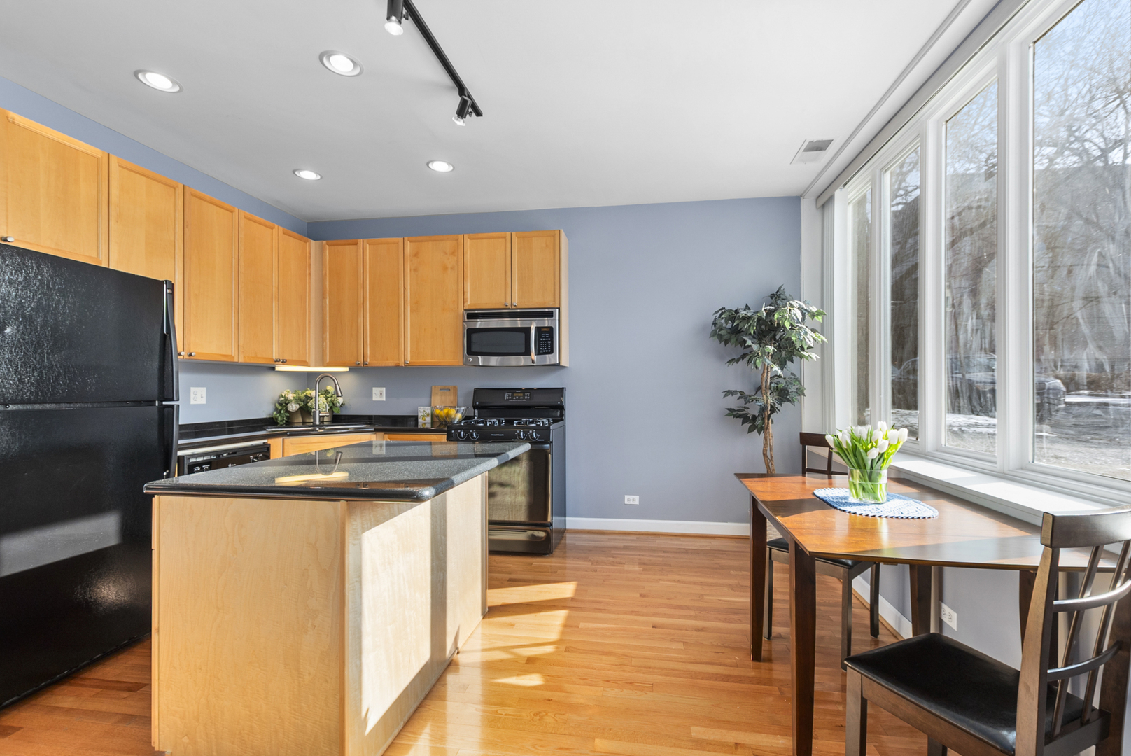 1636 W Melrose Street #102, Chicago, IL 60657