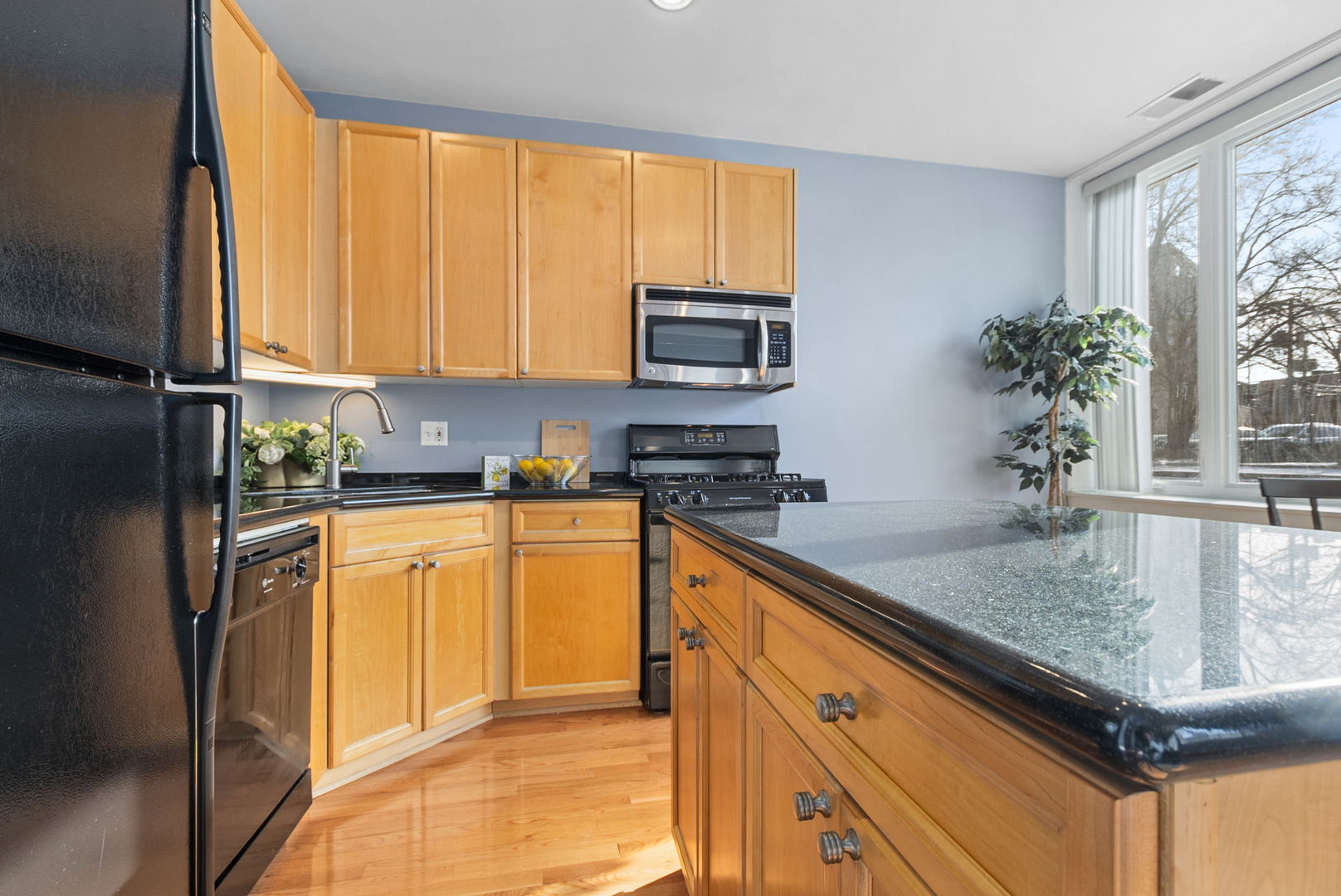 1636 W Melrose Street #102, Chicago, IL 60657