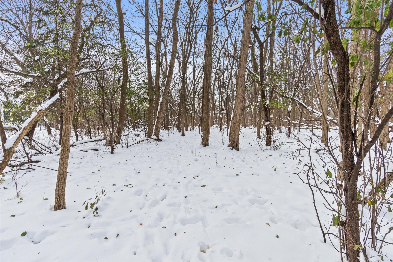 2058 Suffork Road, Northfield, IL 60093