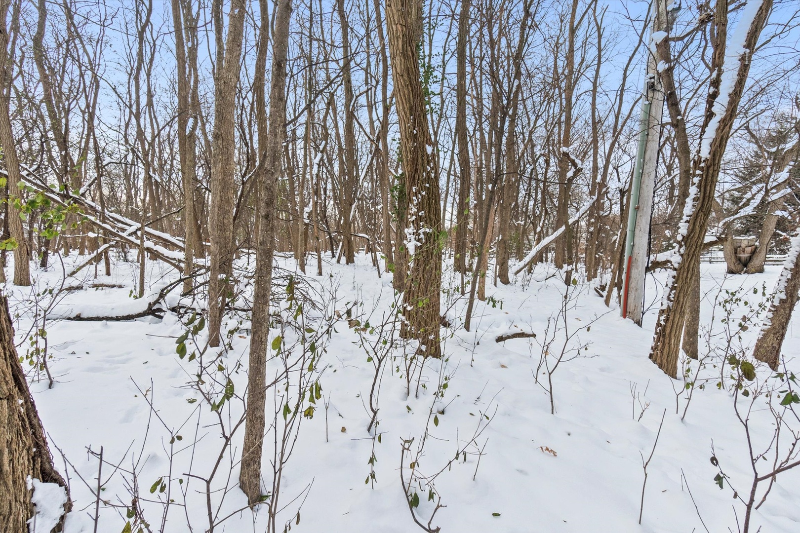 2058 Suffork Road, Northfield, IL 60093