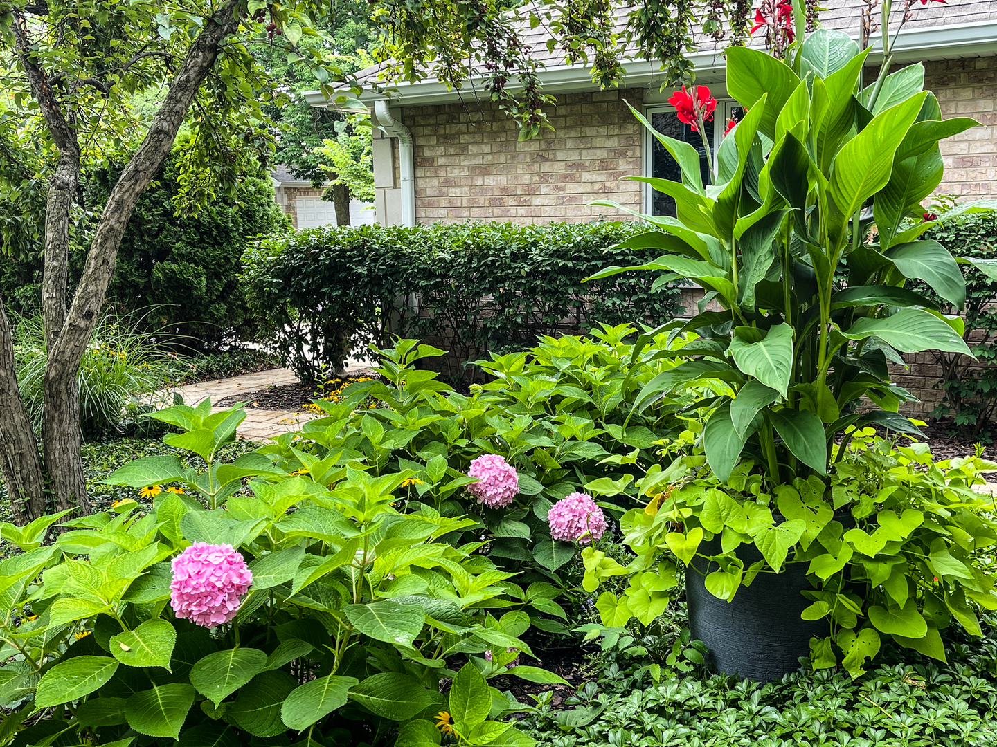 Park Ridge, IL 60068