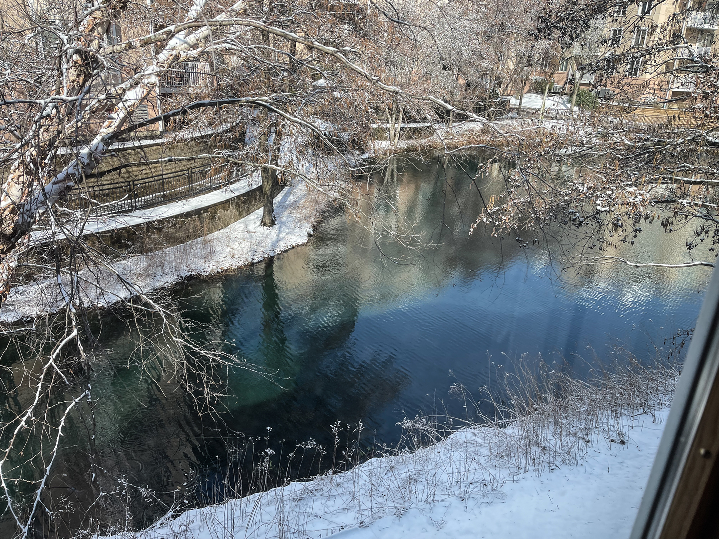 Park Ridge, IL 60068