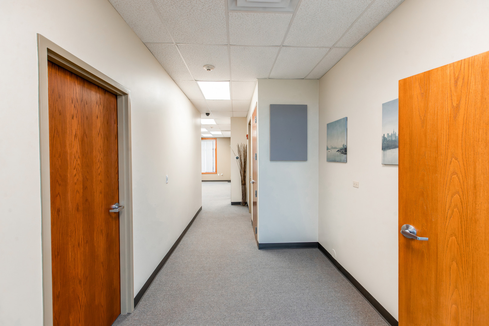 10022 W 190th Place #10022, Mokena, IL 60448