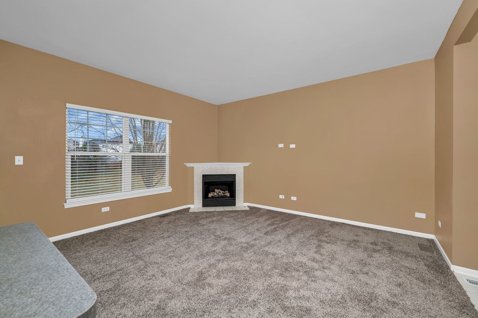 23033 Ironwood Drive, Plainfield, IL 60586