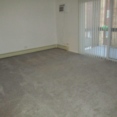 15830 Orlan Brook Drive #2B, Orland Park, IL 60462