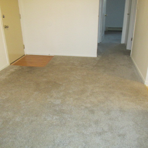 15830 Orlan Brook Drive #2B, Orland Park, IL 60462