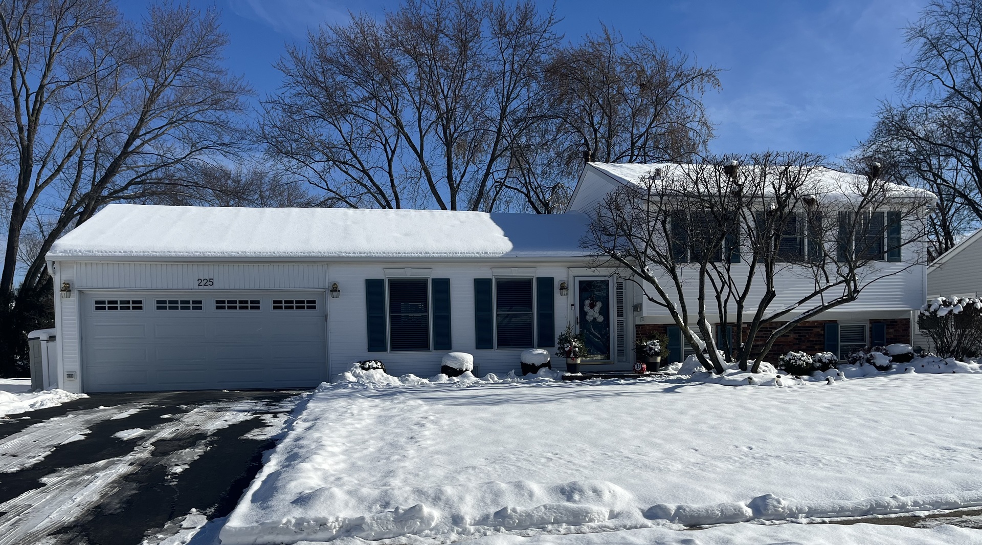 225 Wickham Drive, Schaumburg, IL 60194