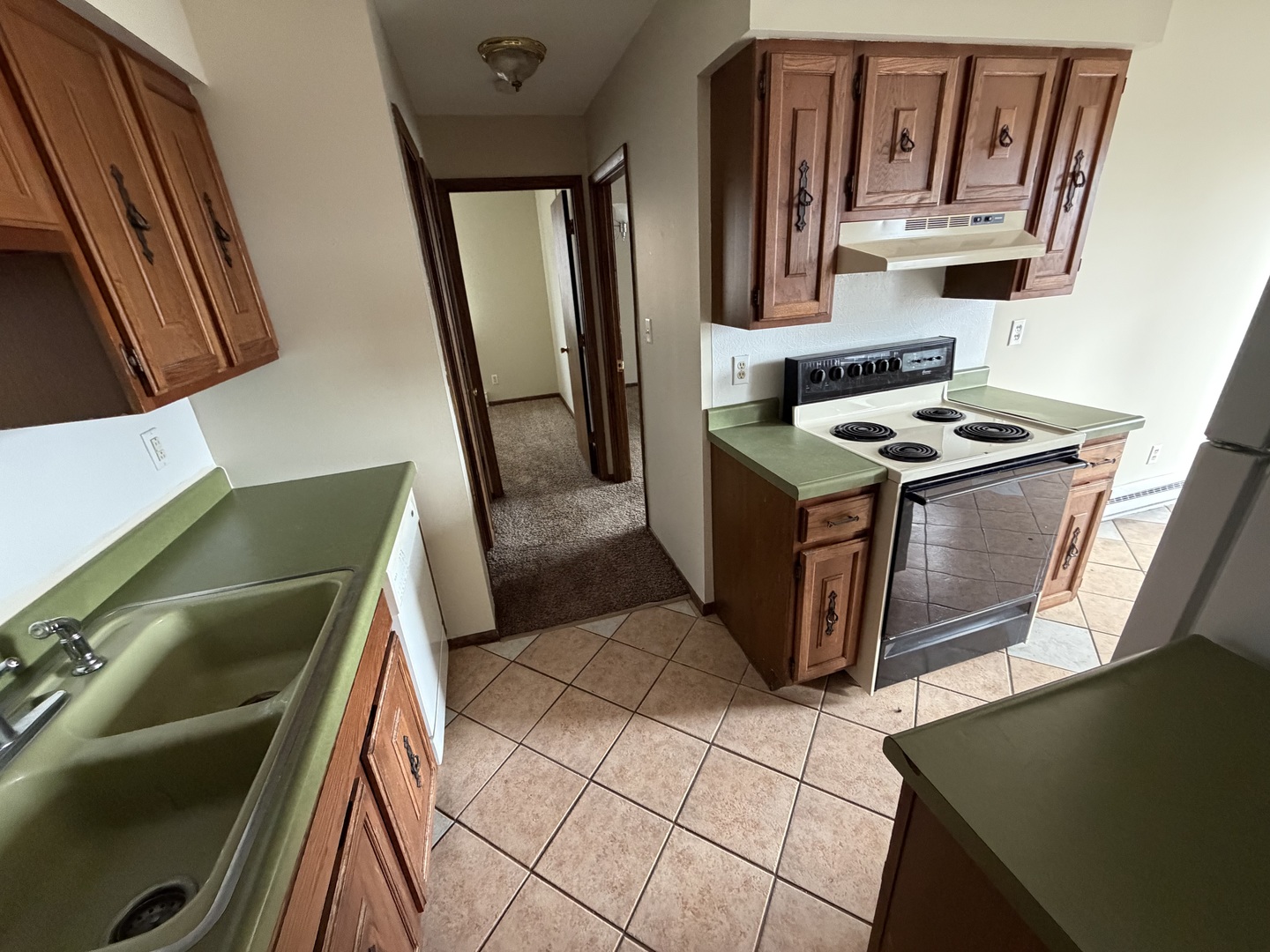 352 N Birch Drive #10, Manteno, IL 60950