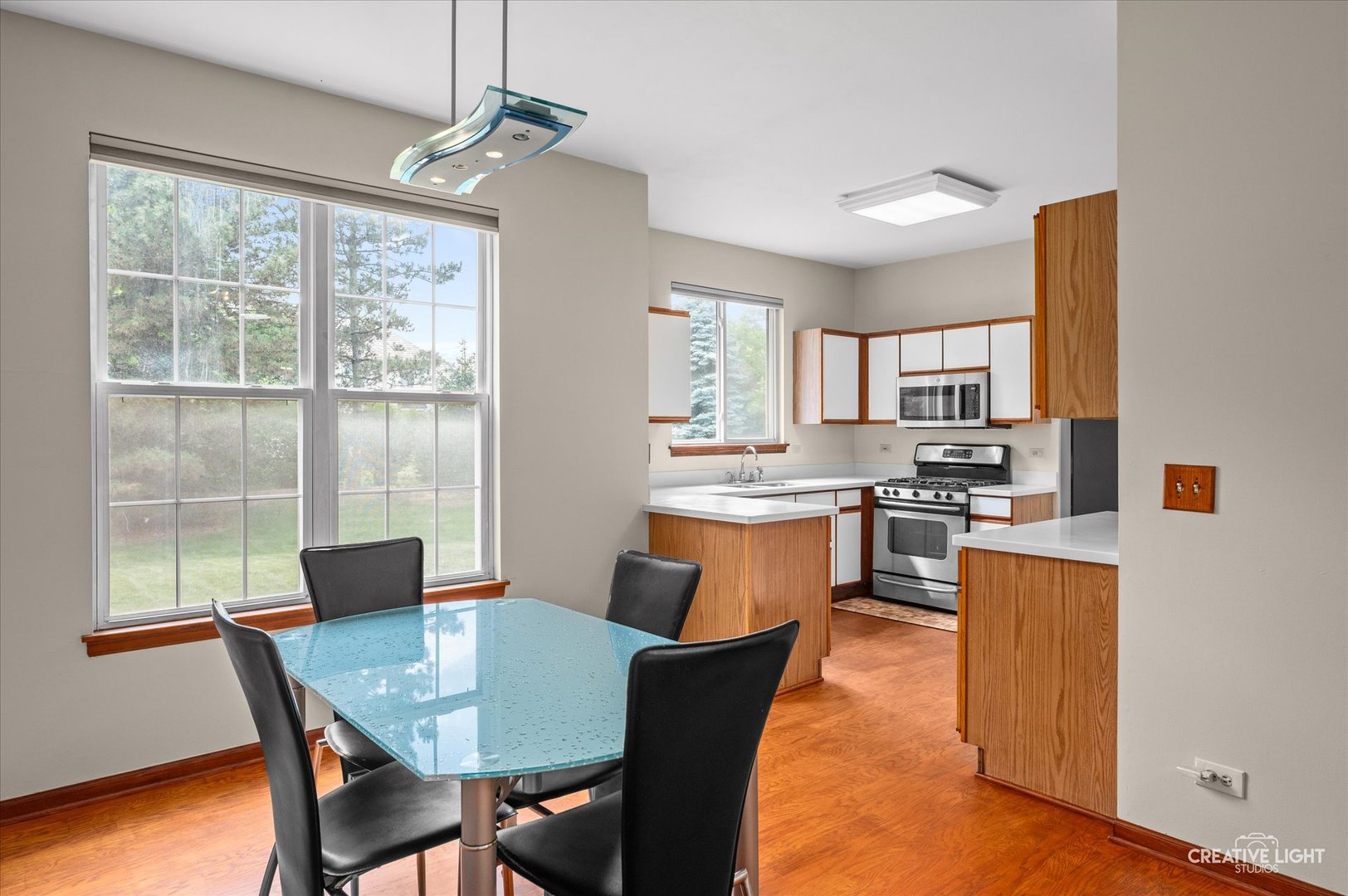 1348 Amaranth Drive, Naperville, IL 60564