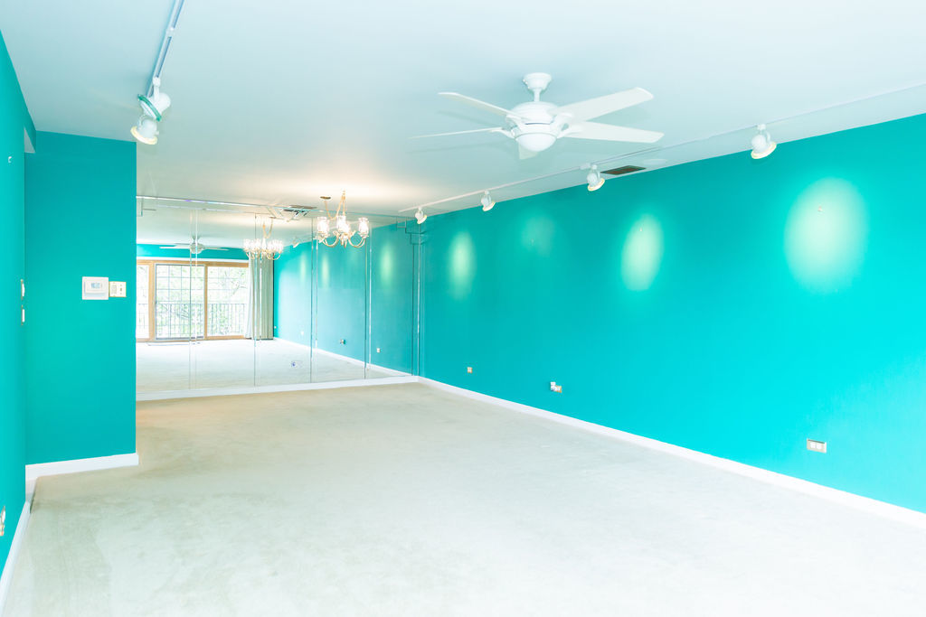 3427 VOLLMER Road #209, Flossmoor, IL 60422