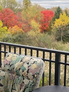 440 W Mahogany Court #312, Palatine, IL 60067