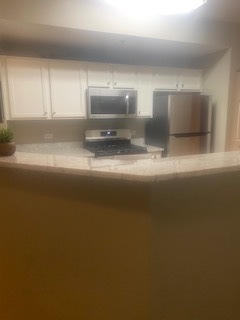 440 W Mahogany Court #312, Palatine, IL 60067