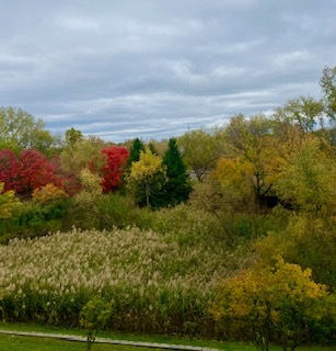 440 W Mahogany Court #312, Palatine, IL 60067