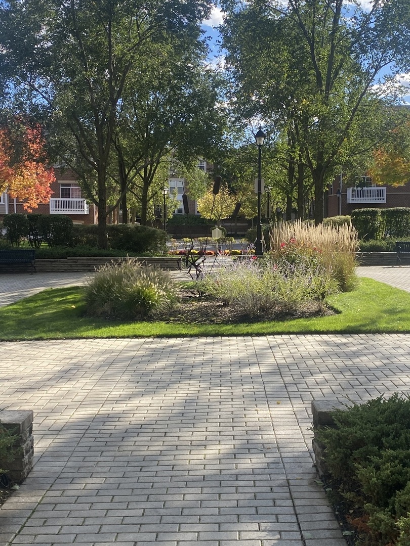 440 W Mahogany Court #312, Palatine, IL 60067