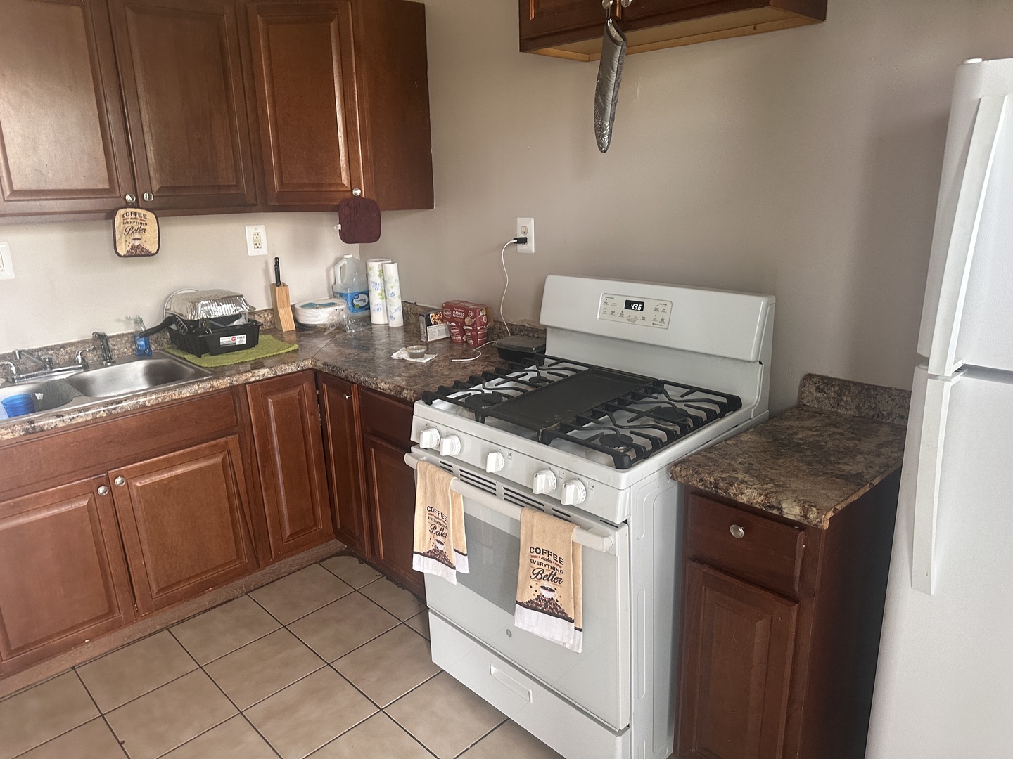 217 N Kostner Avenue, Chicago, IL 60624