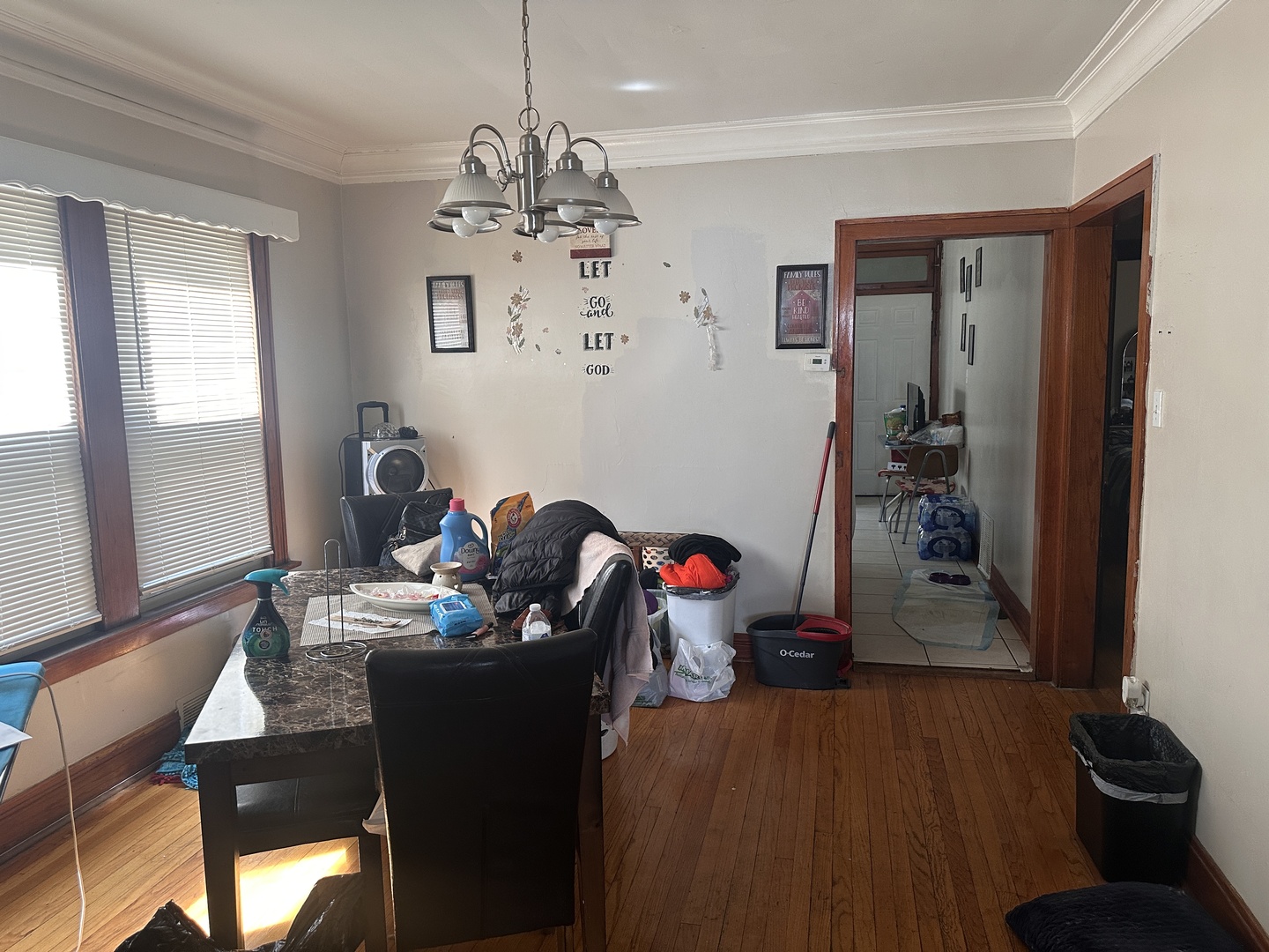 26 E 101st Place, Chicago, IL 60628