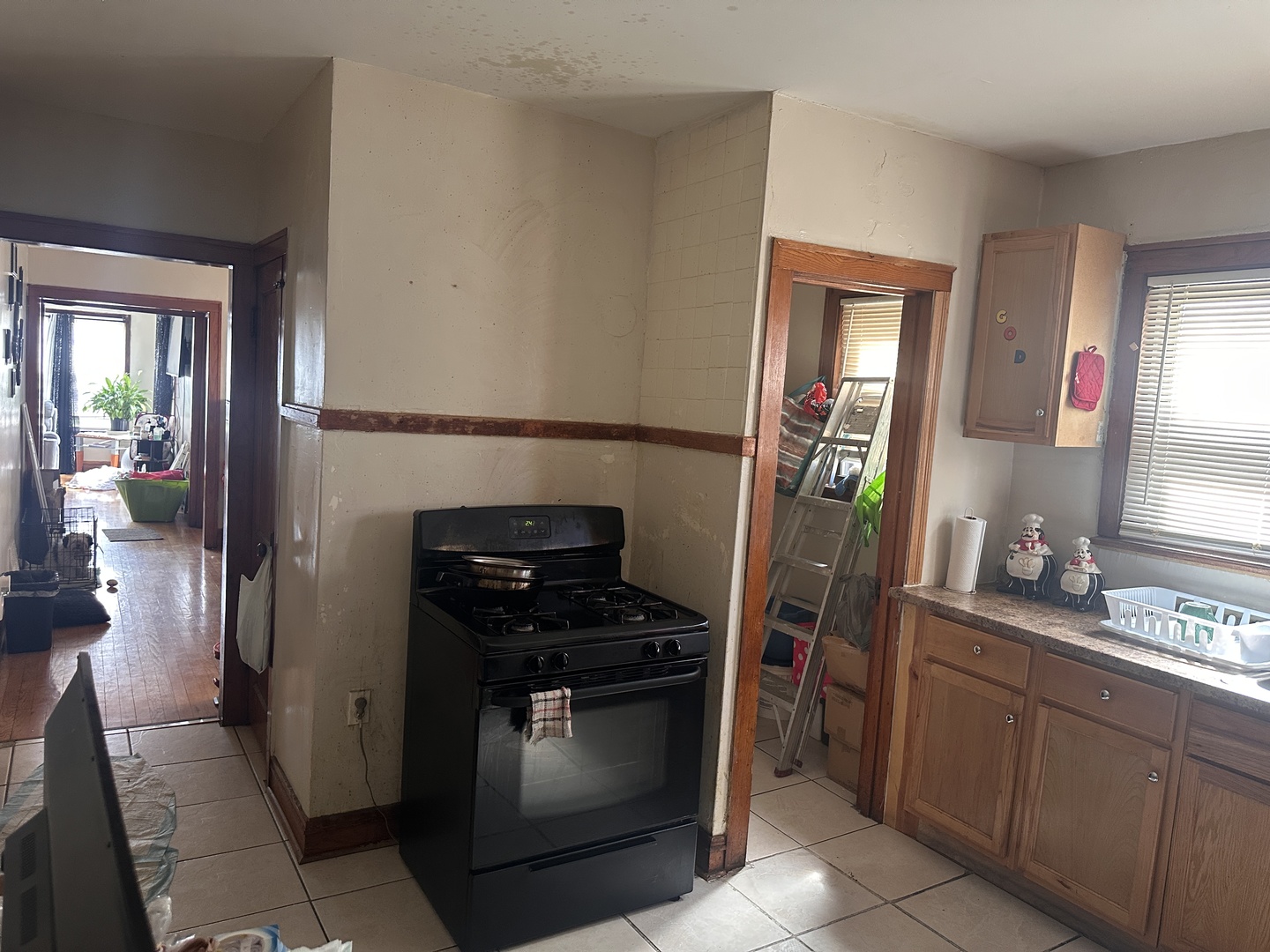 26 E 101st Place, Chicago, IL 60628