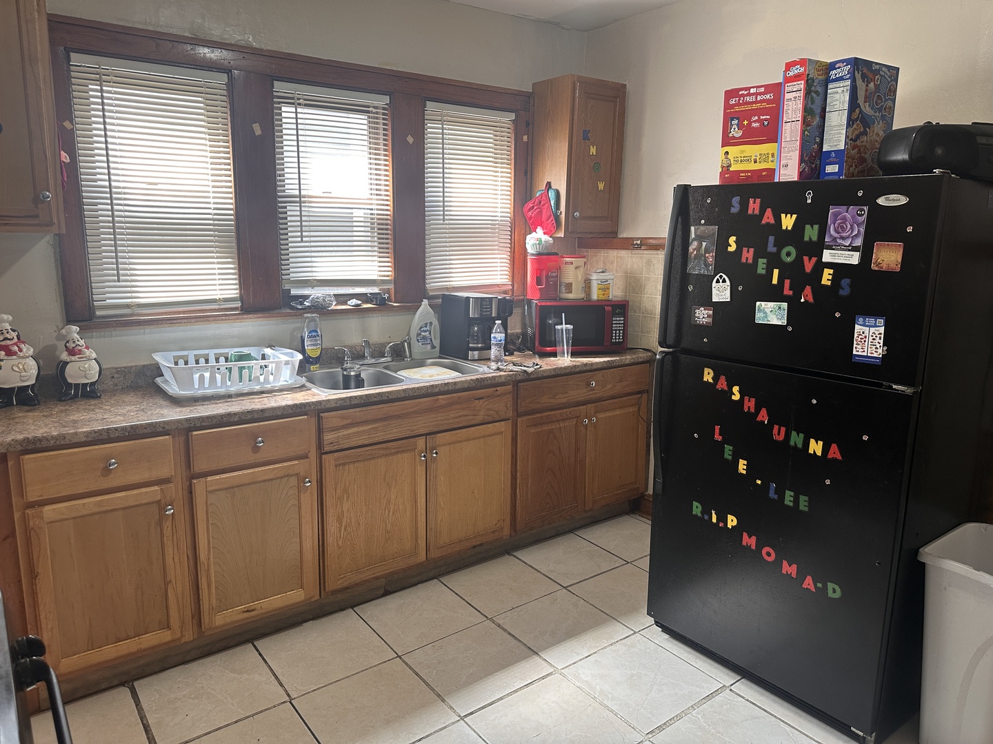 26 E 101st Place, Chicago, IL 60628