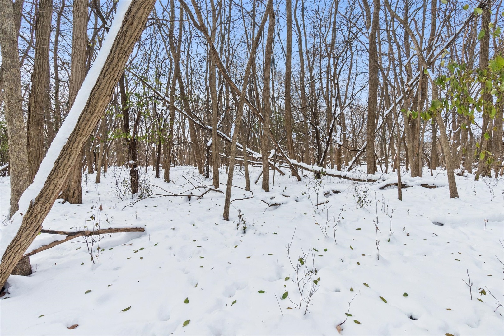 2060 Suffork Road, Northfield, IL 60093