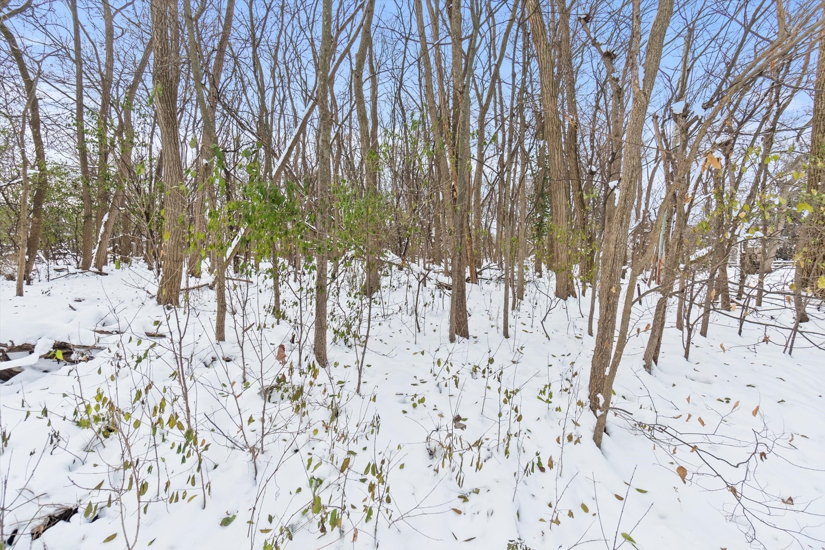 2060 Suffork Road, Northfield, IL 60093