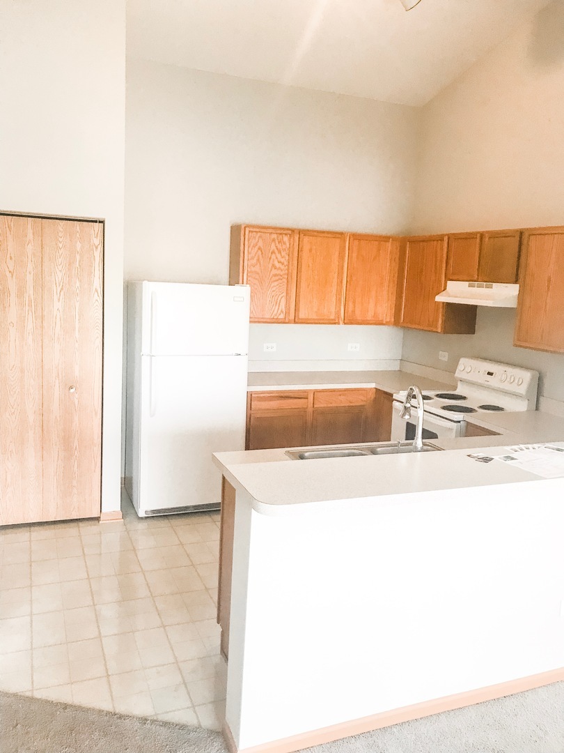 1131 Silverstone Drive #1131, Carpentersville, IL 60110