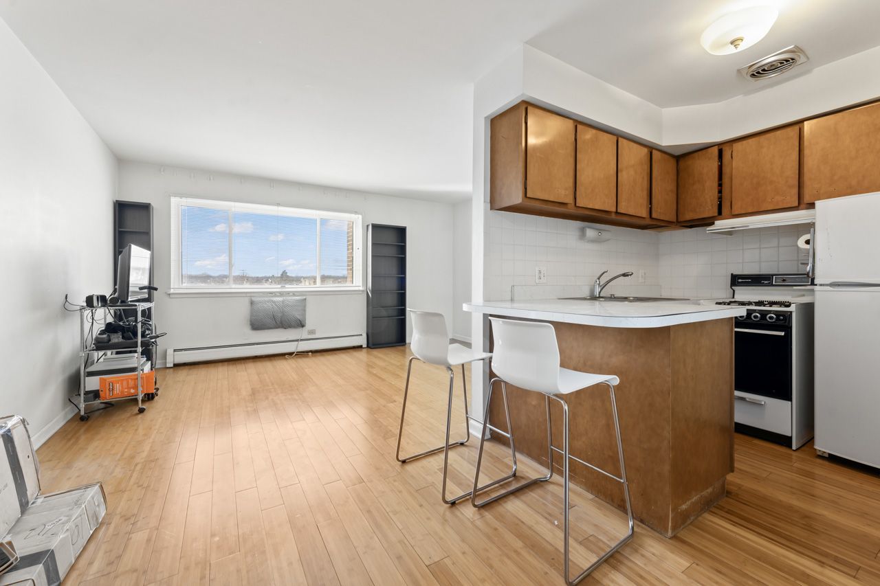 4623 N Chester Avenue #206, Chicago, IL 60656
