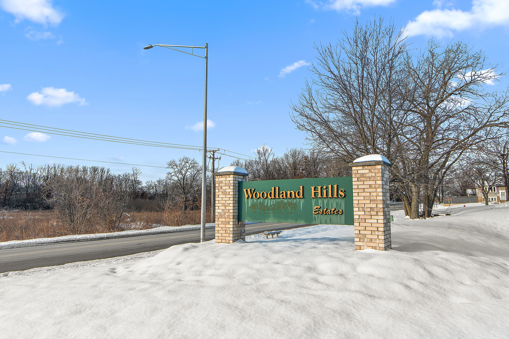 8942 Birch Lane, Hickory Hills, IL 60457