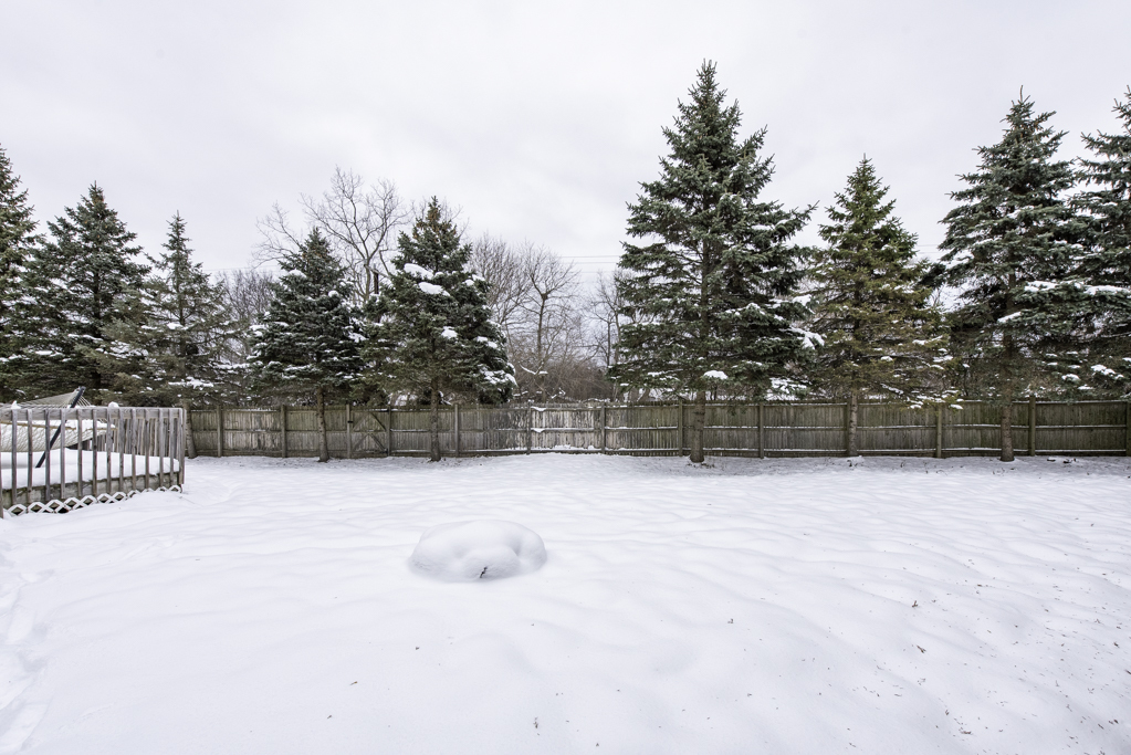 1342 Anthony Court, Waukegan, IL 60087