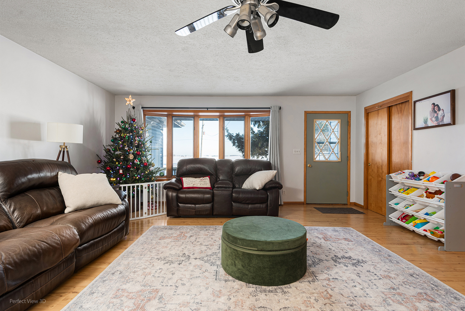 32209 N 1500 East Road, Blackstone, IL 61313