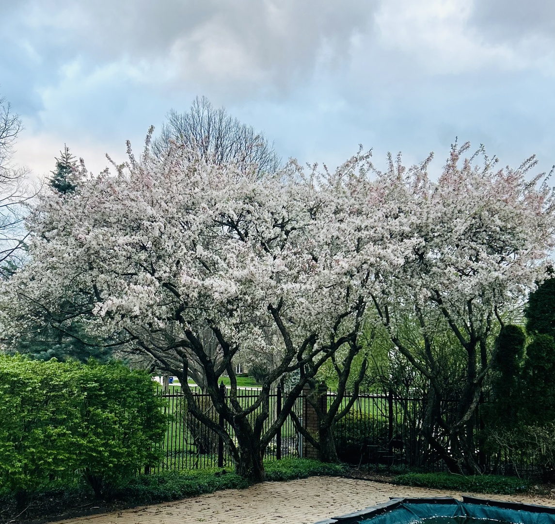 2266 Pebble Creek Drive, Lisle, IL 60532