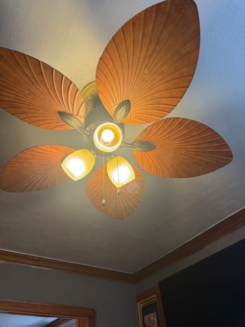 907 S 10th Avenue, Maywood, IL 60153