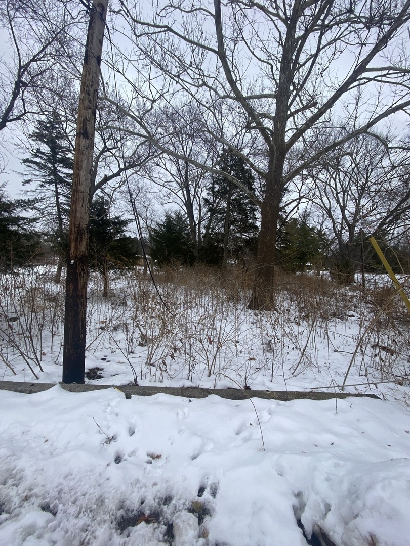 5609 River Road, Lisle, IL 60532