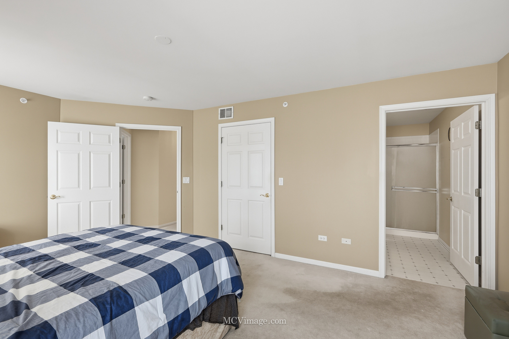 13825 S Bristlecone Lane #C, Plainfield, IL 60544