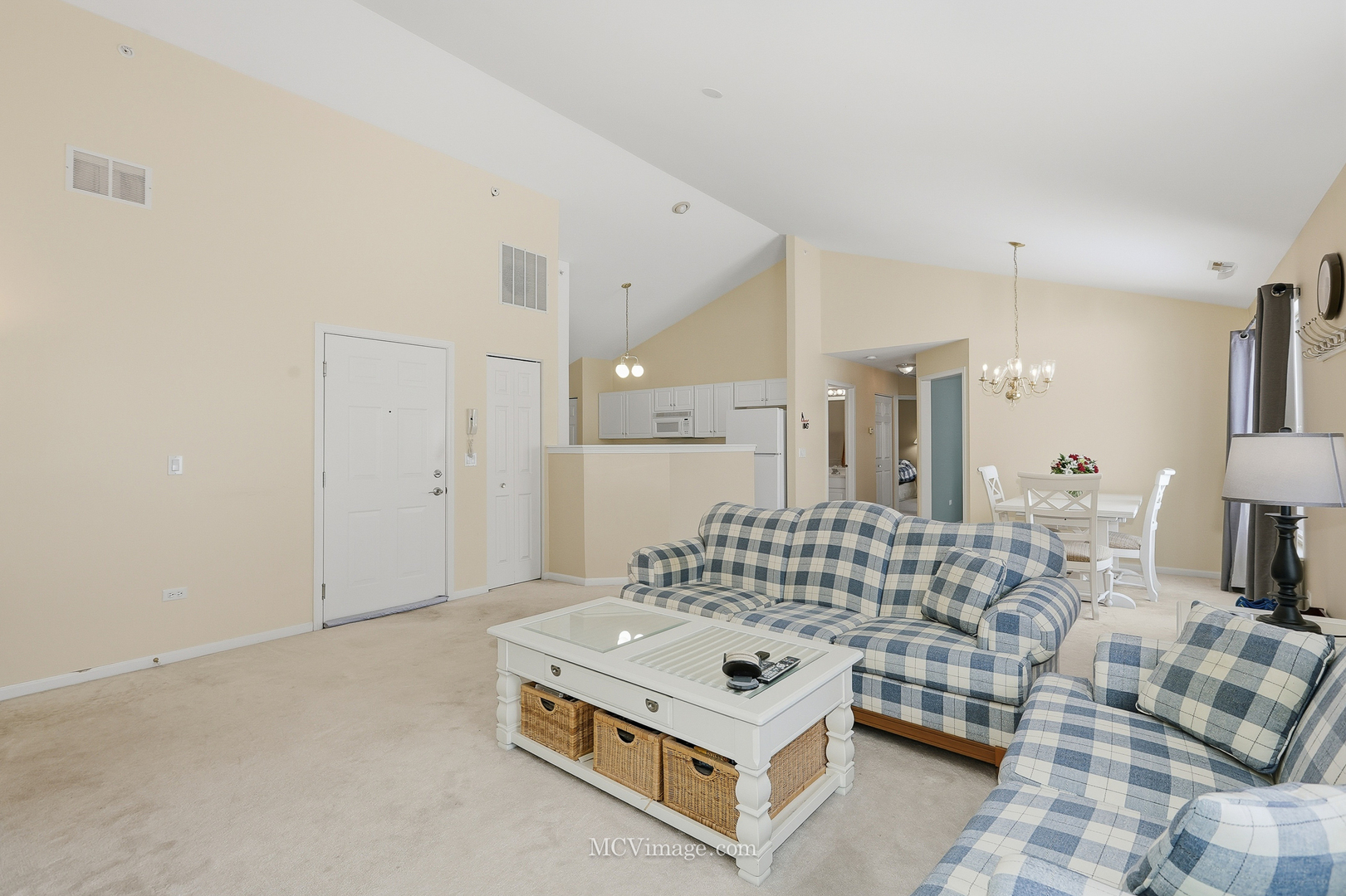 13825 S Bristlecone Lane #C, Plainfield, IL 60544