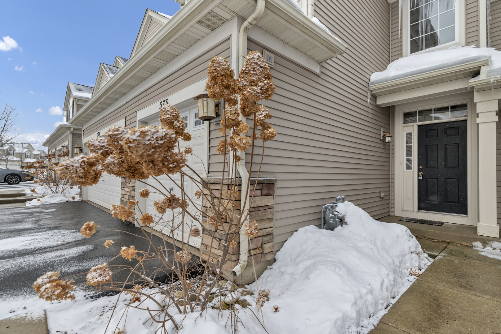 573 Telluride Drive, Gilberts, IL 60136