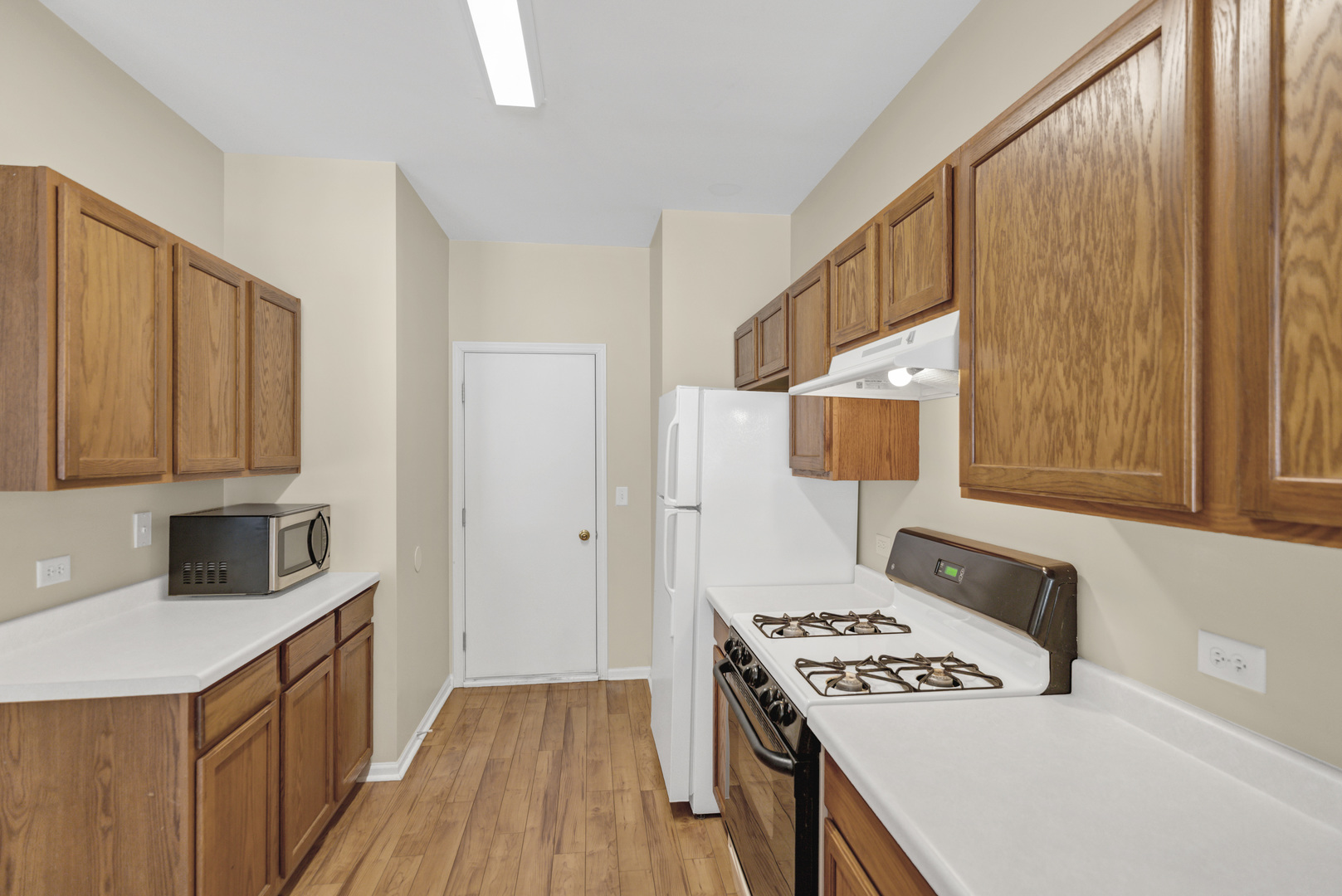 573 Telluride Drive, Gilberts, IL 60136