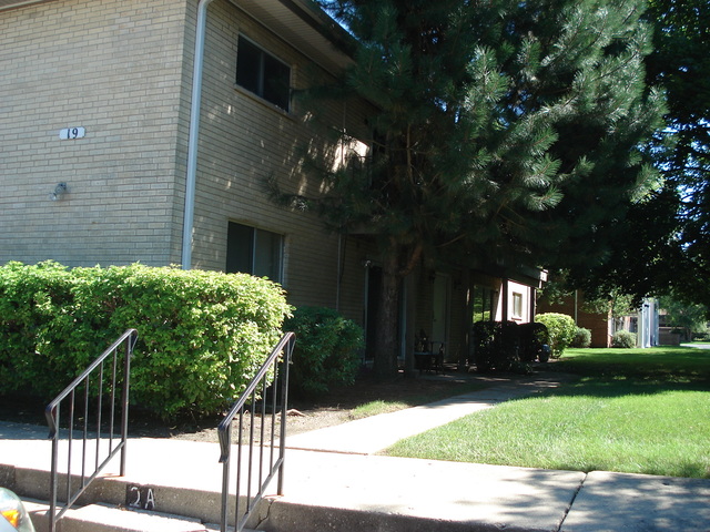 19 E Palatine Road #1A, Arlington Heights, IL 60004
