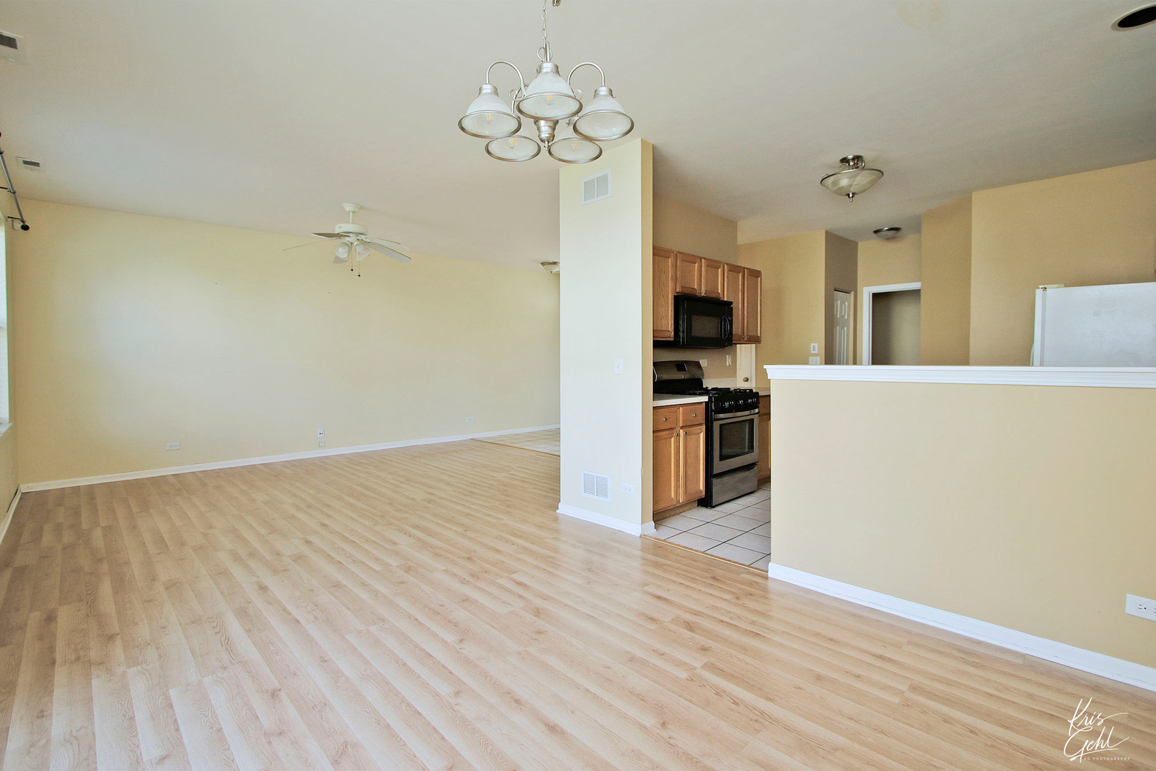 2806 Falling Waters Lane #2806, Lindenhurst, IL 60046