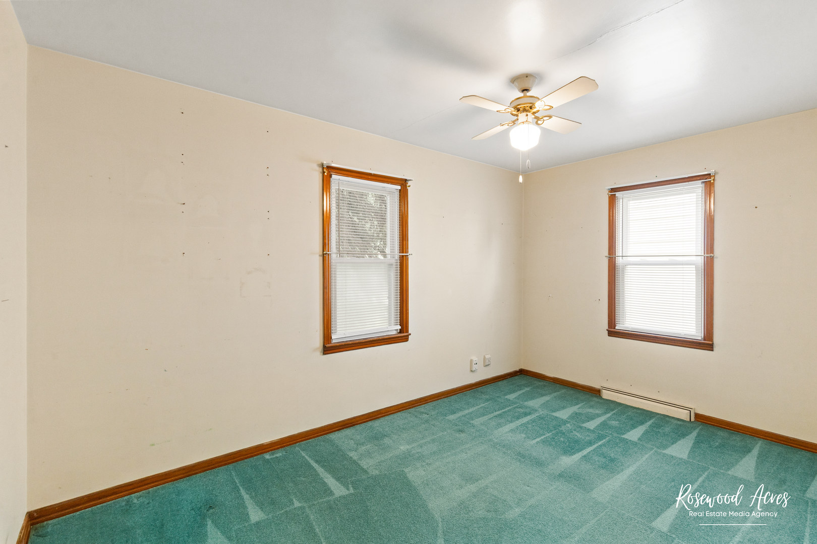 311 S Cleveland Avenue, Bradley, IL 60915