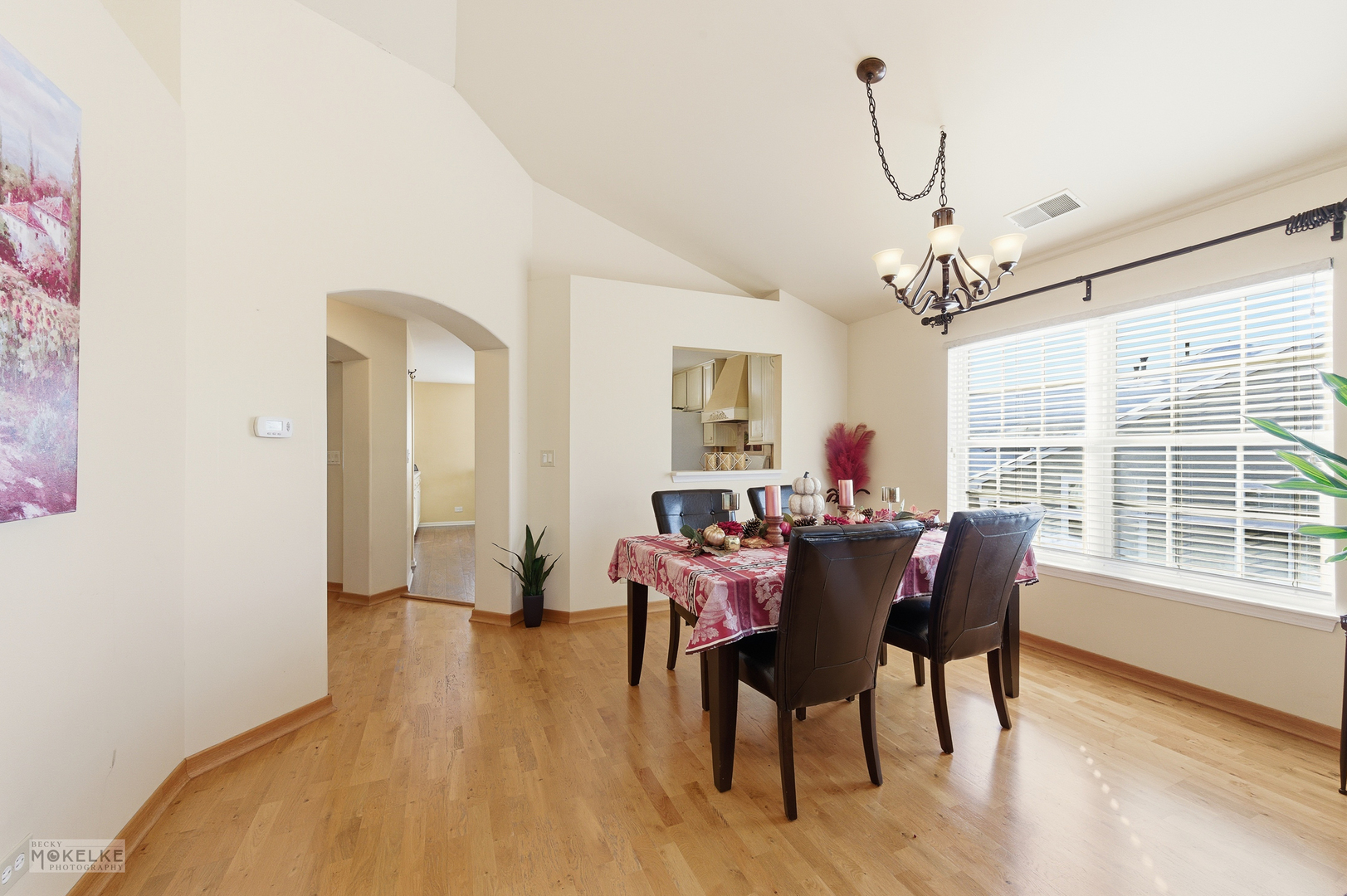 31502 Kline Circle, Warrenville, IL 60555