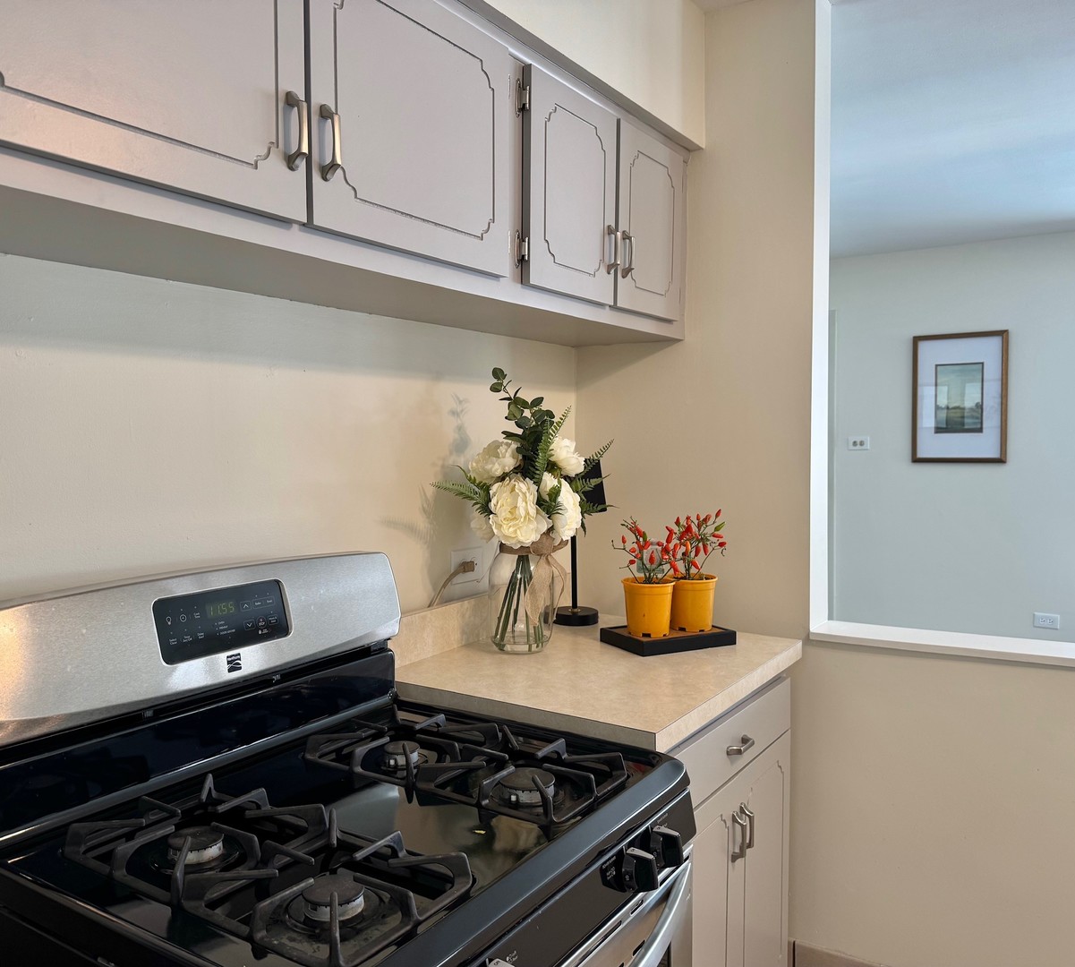 3051 S Scott Street, Des Plaines, IL 60018