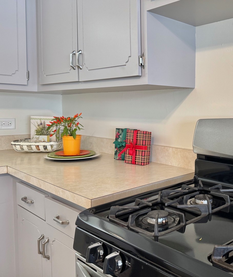 3051 S Scott Street, Des Plaines, IL 60018