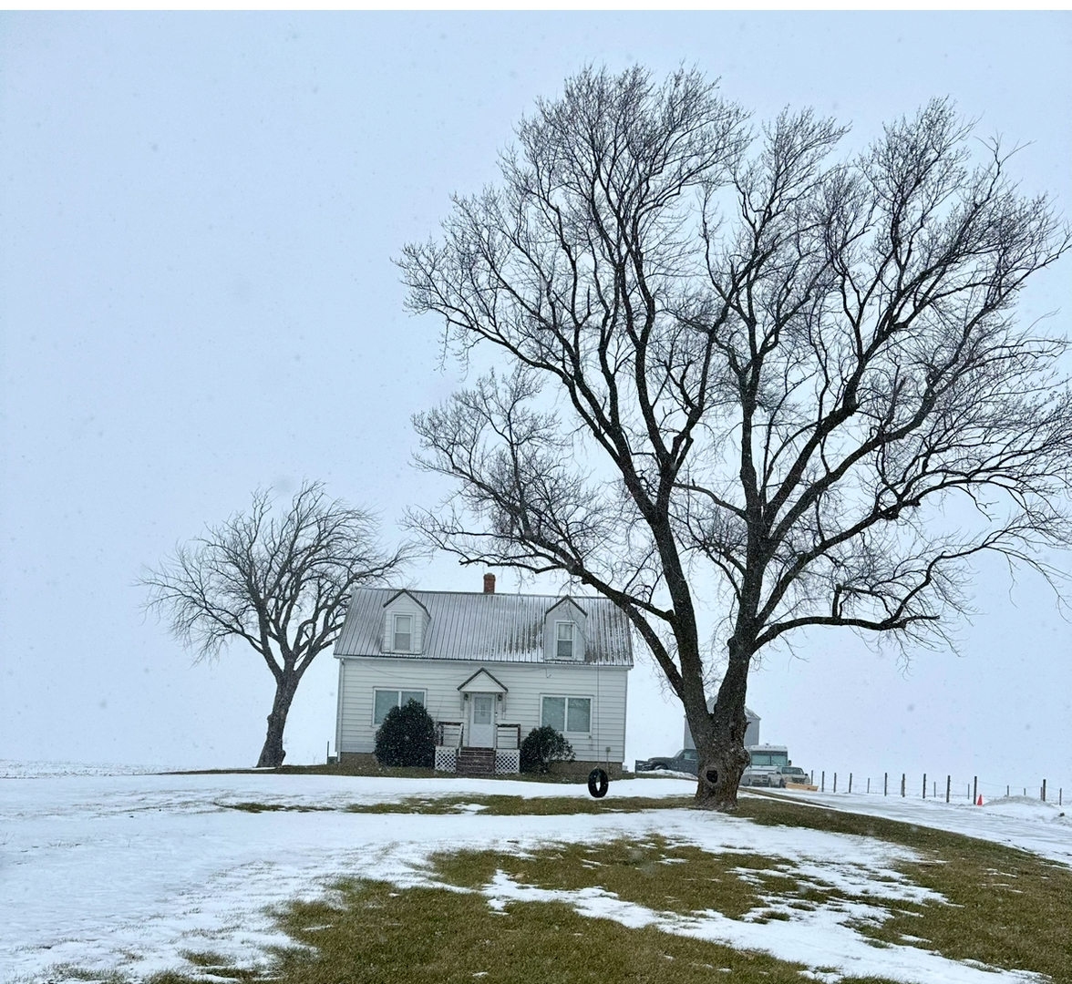 9825 E 11000n Road, Grant Park, IL 60940