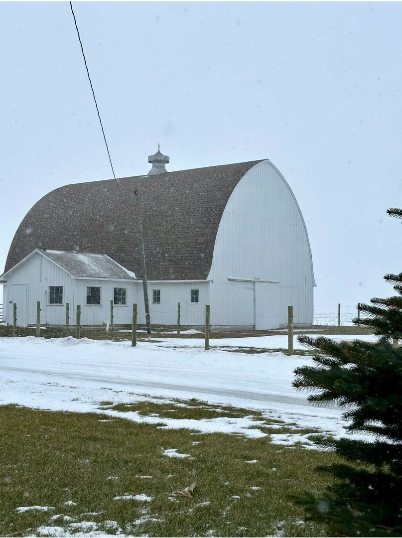 9825 E 11000n Road, Grant Park, IL 60940