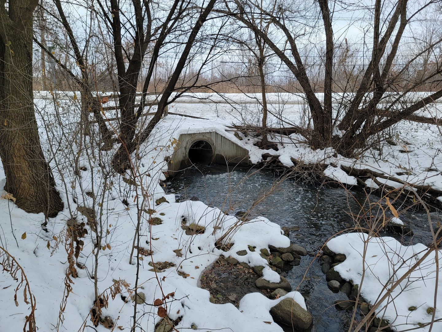 24W330 Central Avenue, Roselle, IL 60172