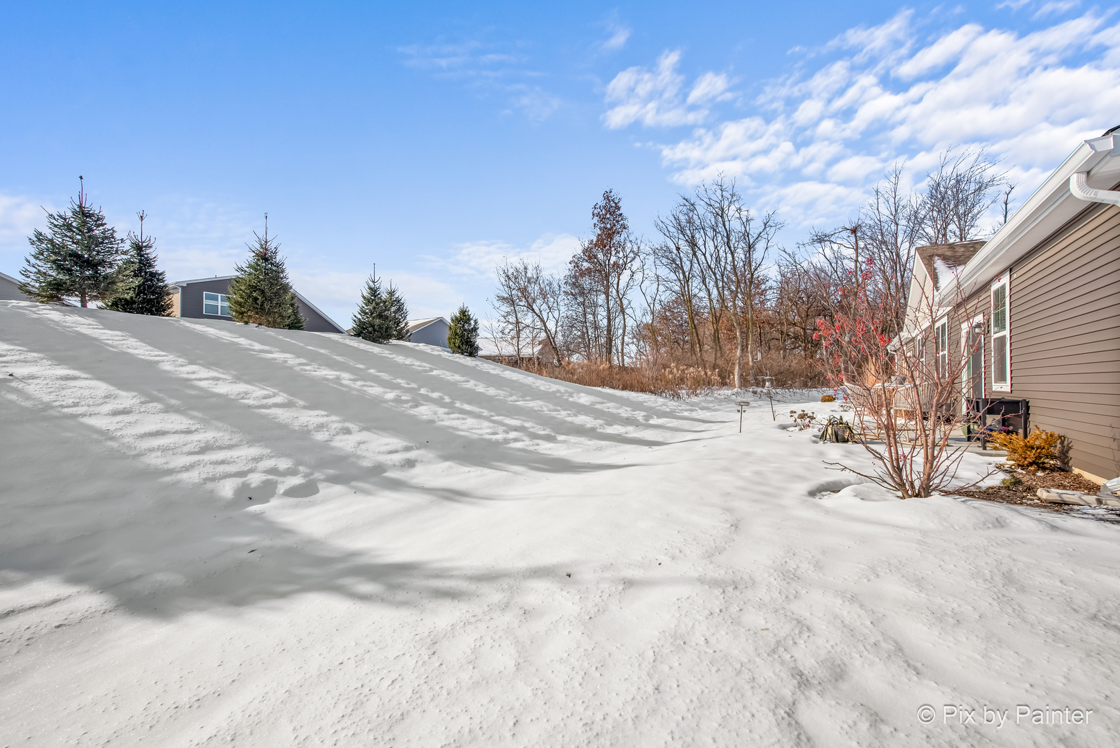 1173 Sonoma Court, Pingree Grove, IL 60140