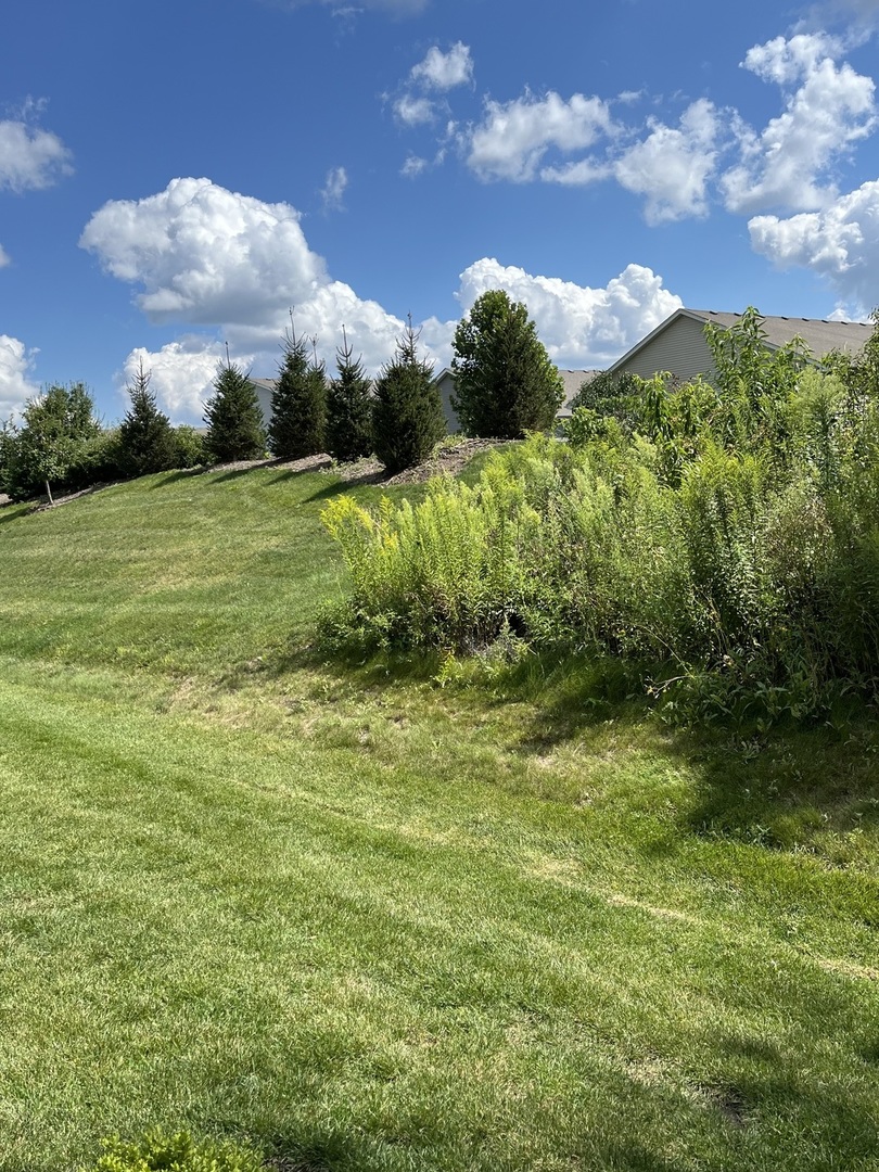 1173 Sonoma Court, Pingree Grove, IL 60140